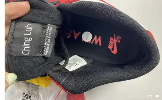 Low years 309242-307 25th Nike SB Dunk 0613